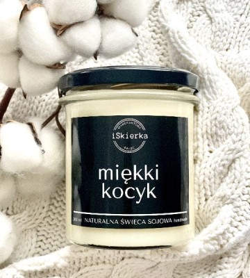 nowykocyk.jpg